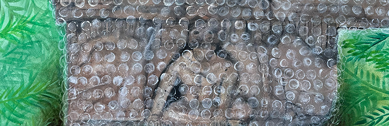 ConservacióN Olmeca 2